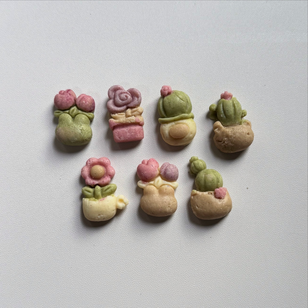 Botanic garden🌵🌹