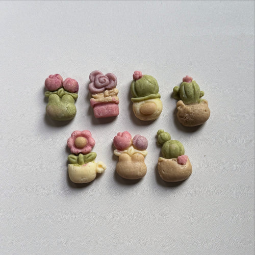 Botanic garden🌵🌹