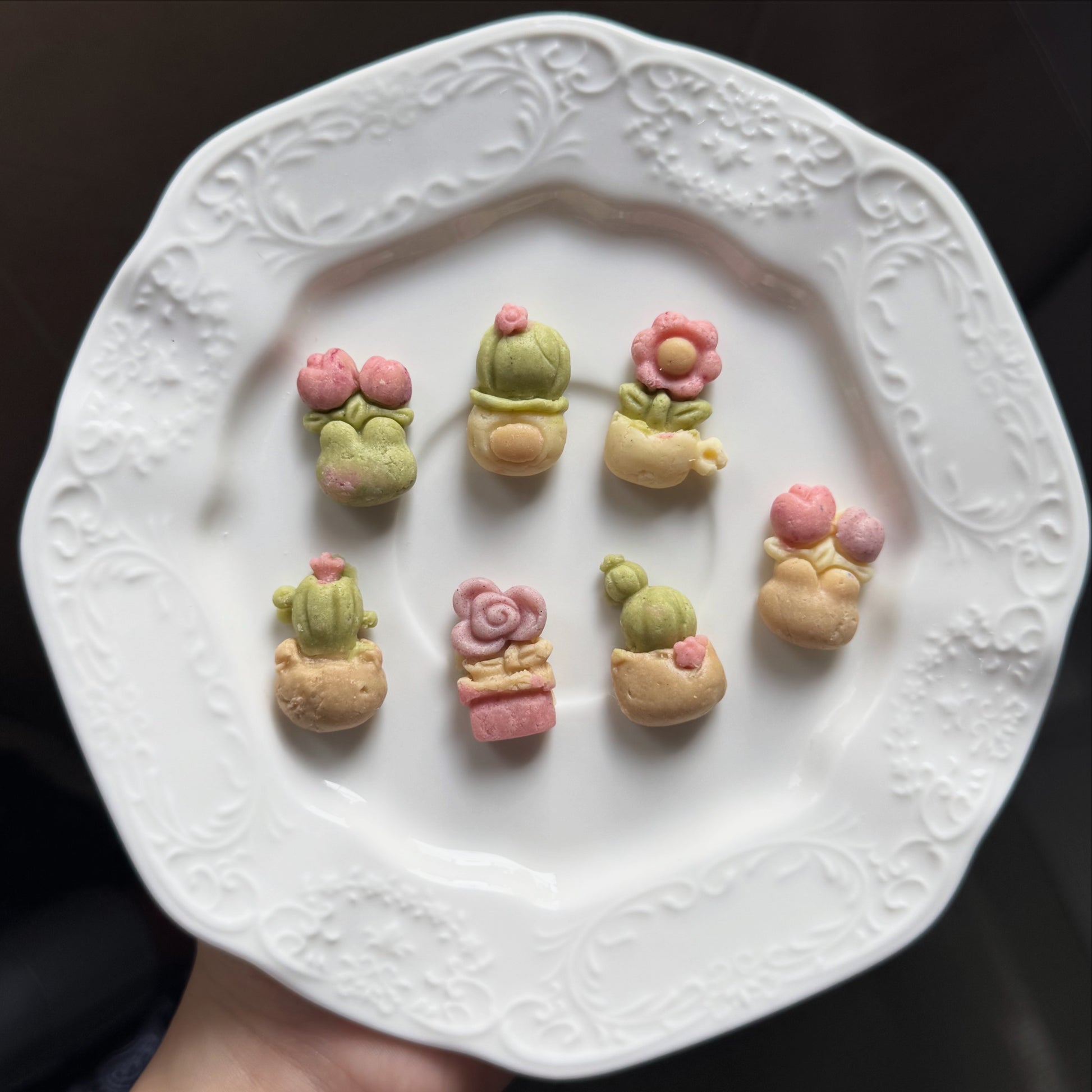 Botanic garden🌵🌹