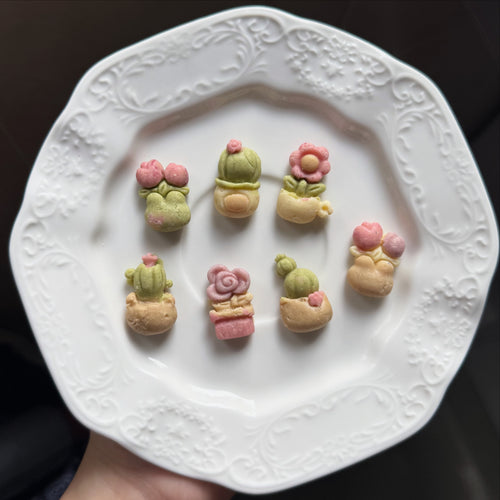 Botanic garden🌵🌹