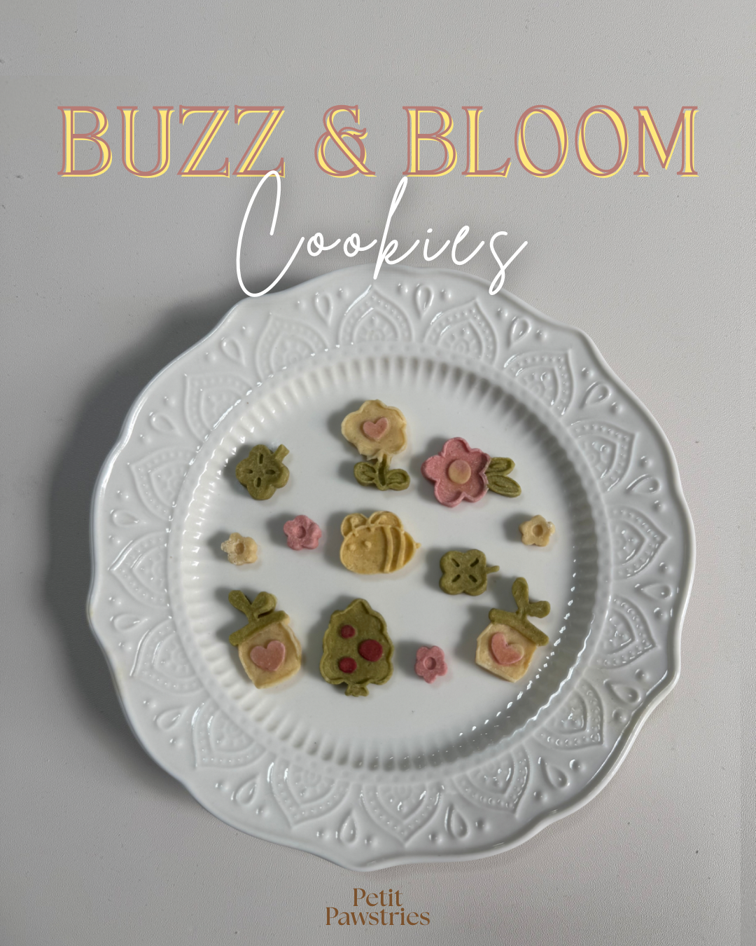 Buzz & bloom